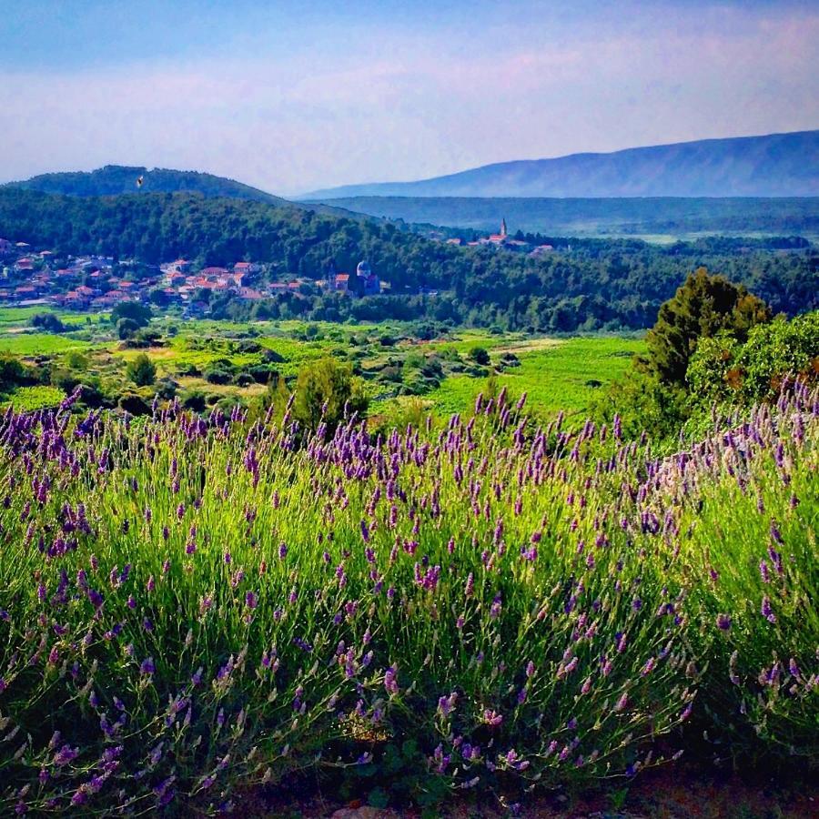 Villa Veli Nova Zavala Exteriér fotografie